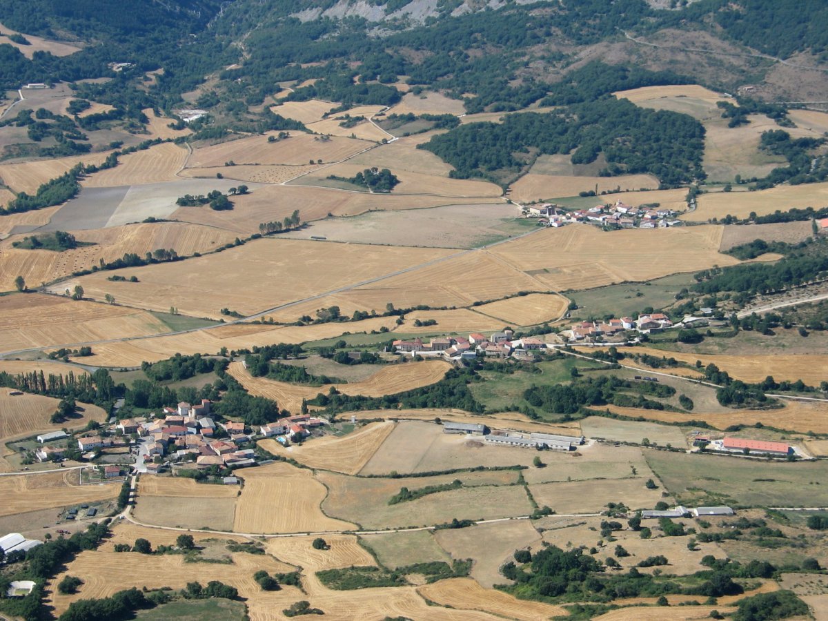 Ollo bailara