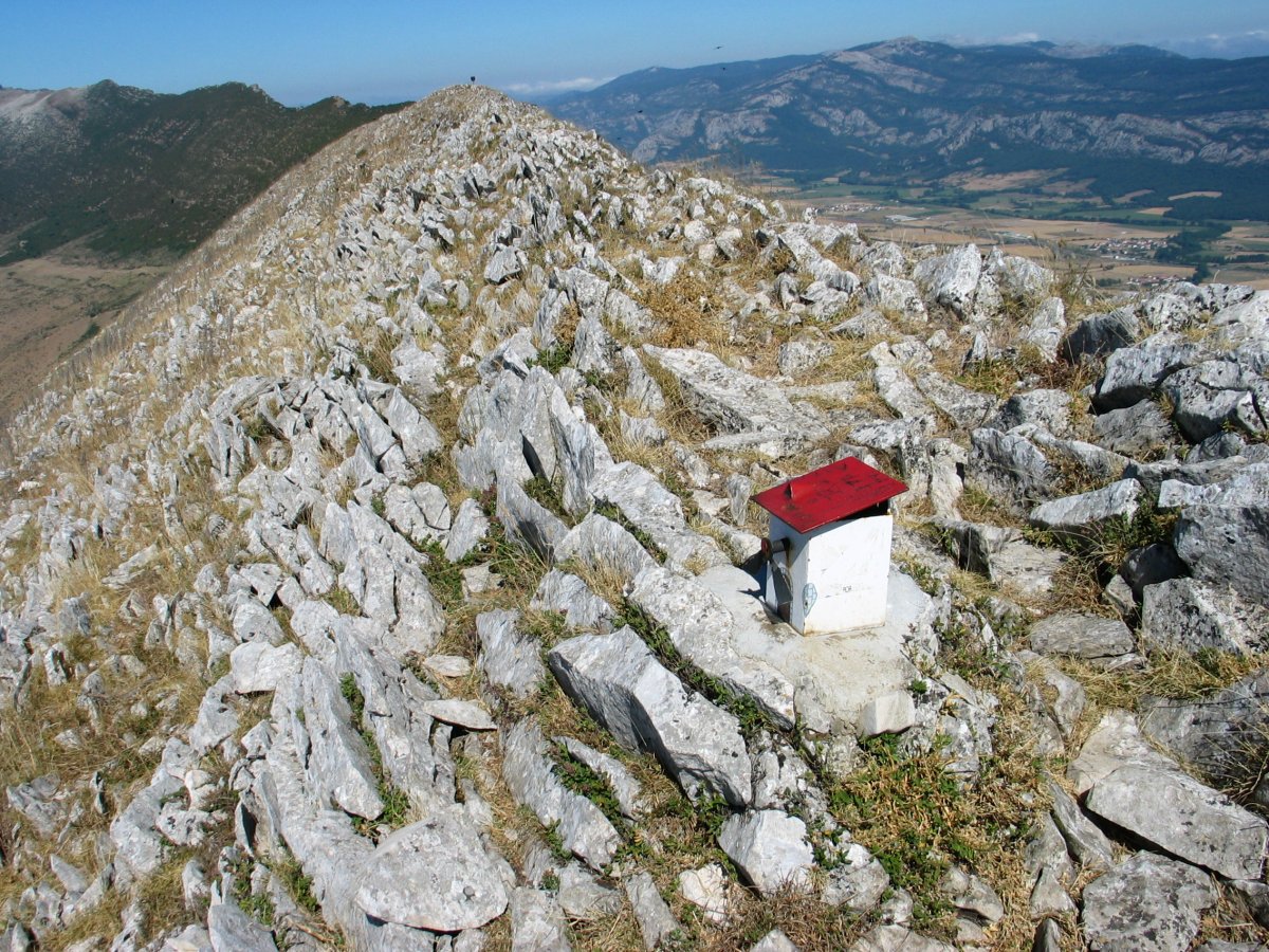 Buzoia eta gandorra