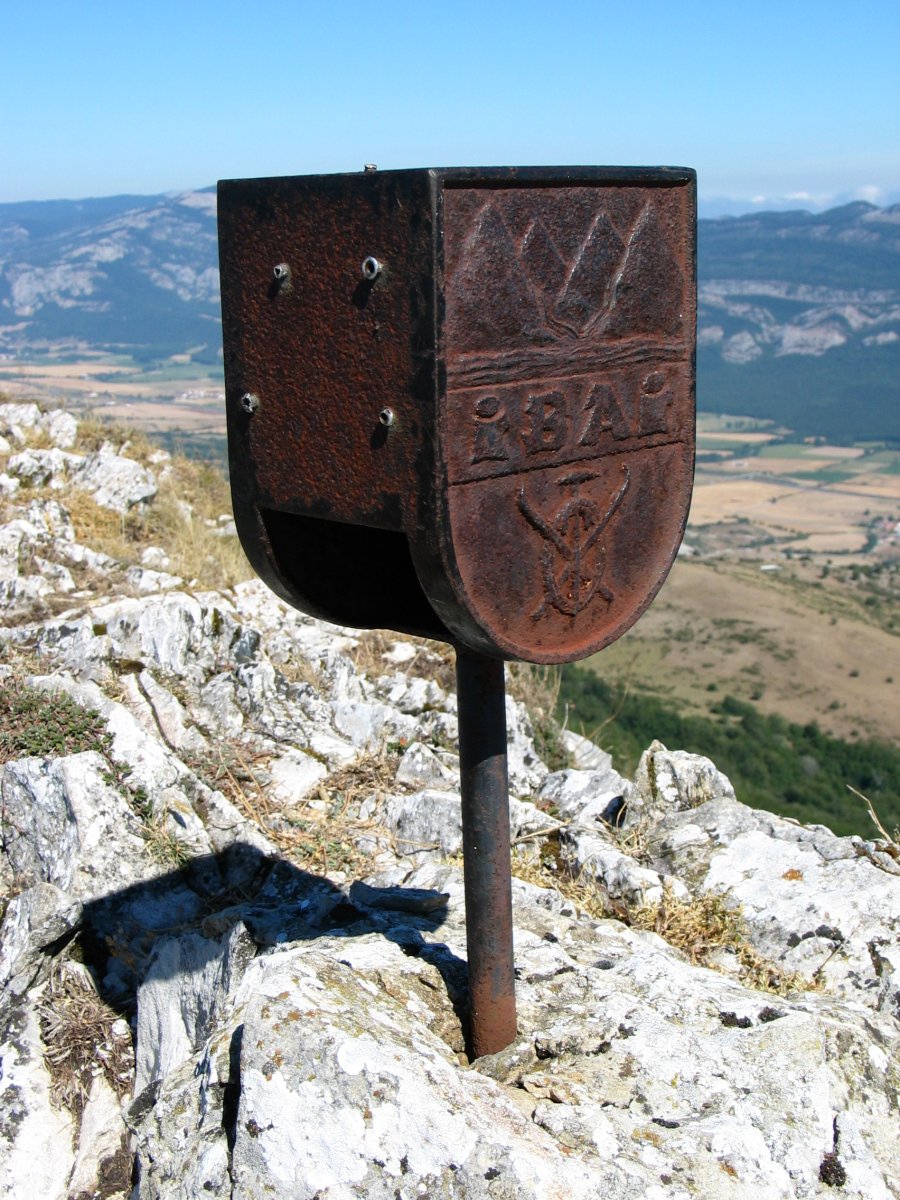 Buzoietako bat