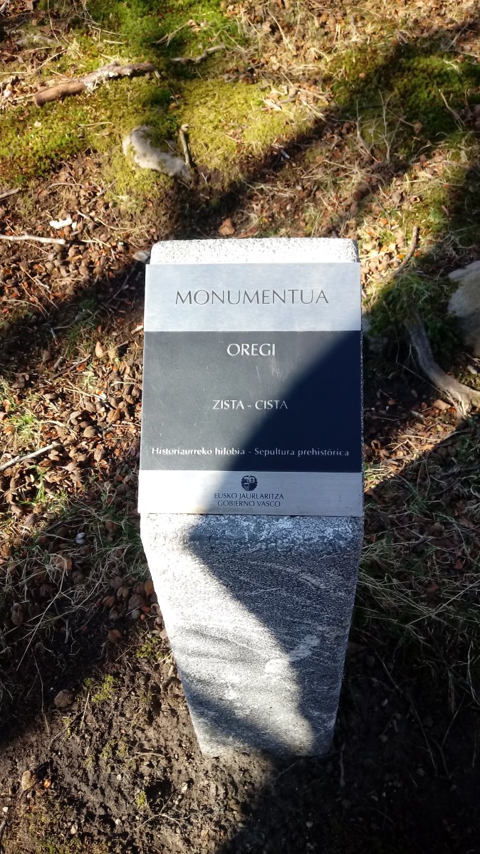 Oregi zista (2020)