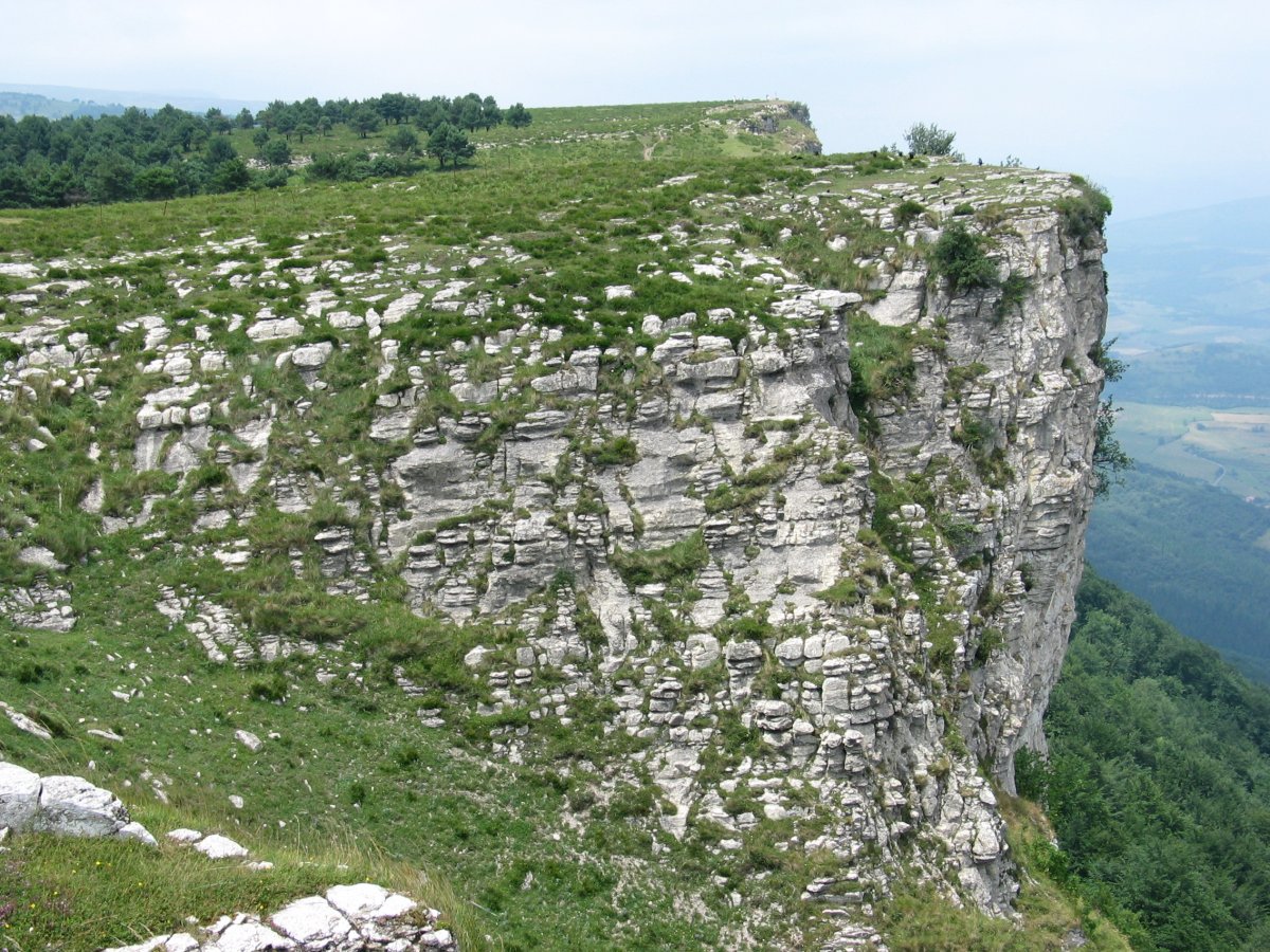 Solaiera Txolopetik