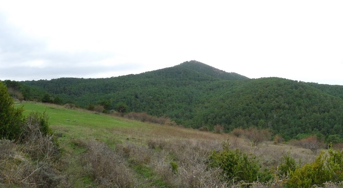Oiartzabal