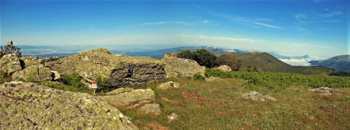 Tontorra