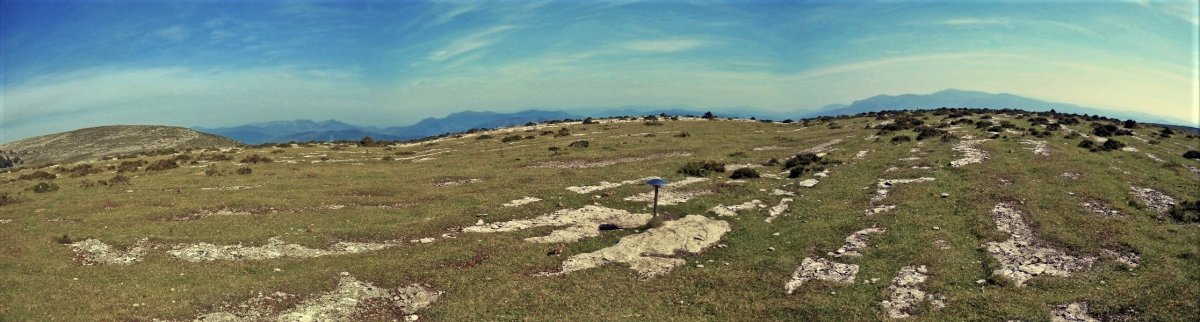 Tontorra