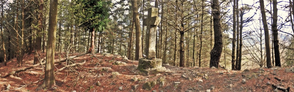 Gurutzedun Tontorra