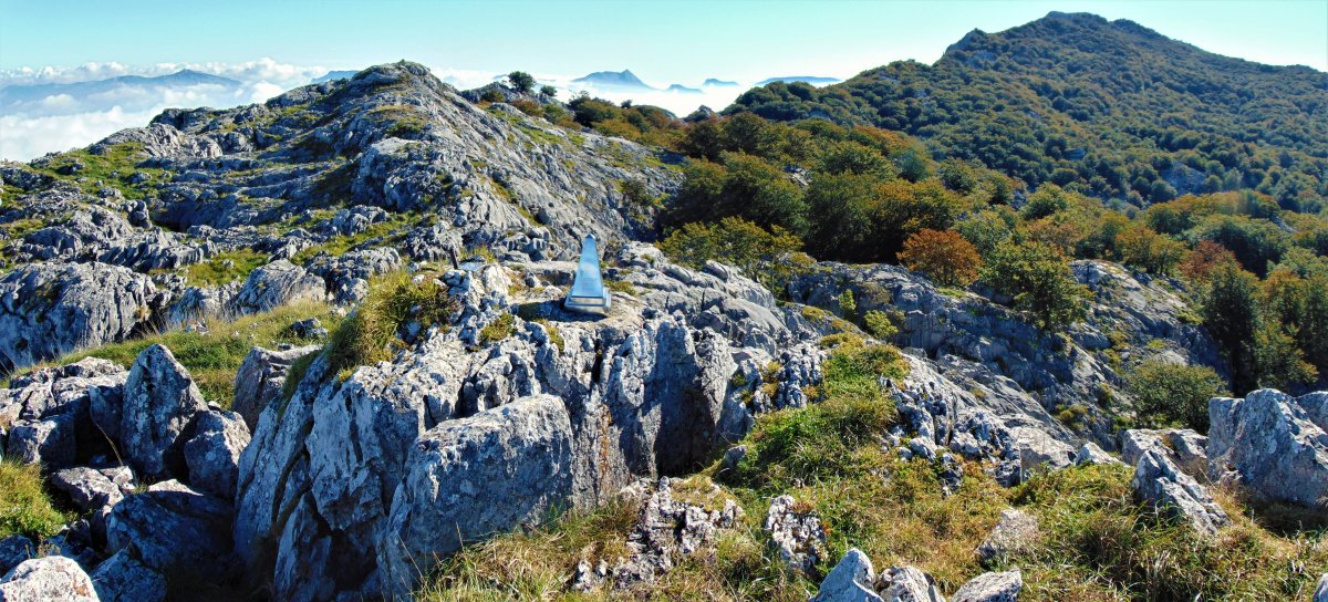 Tontorra