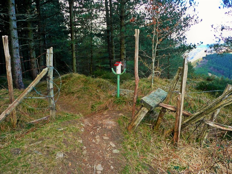 Tontorra