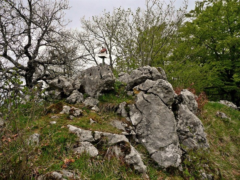 Tontorra