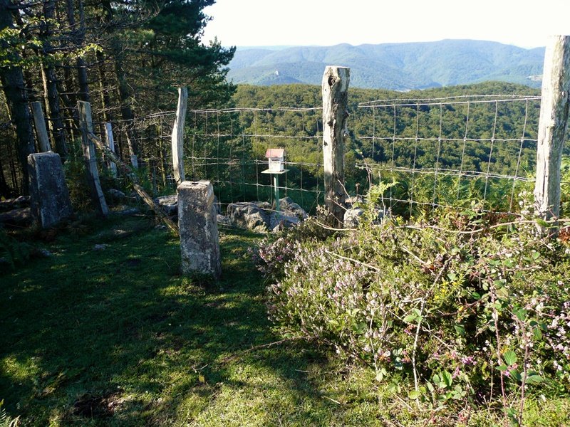 Tontorra