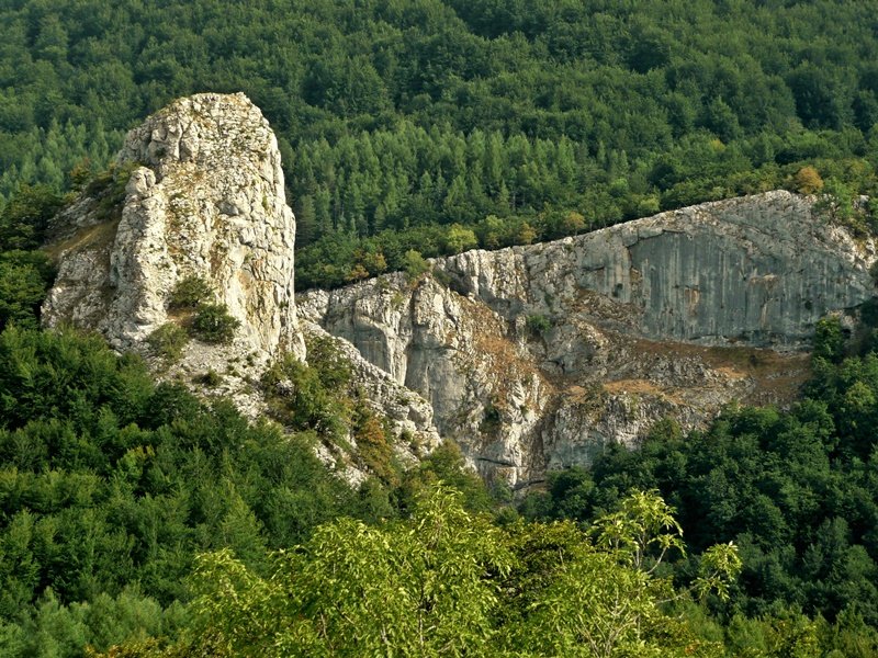 Arrionatik