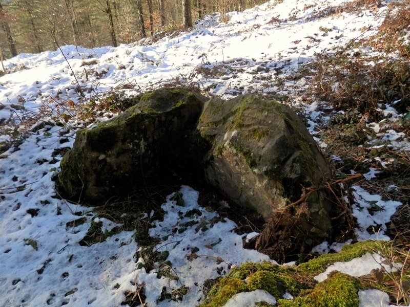 Trikamuñoota