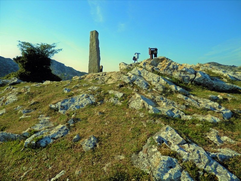 Tontorra