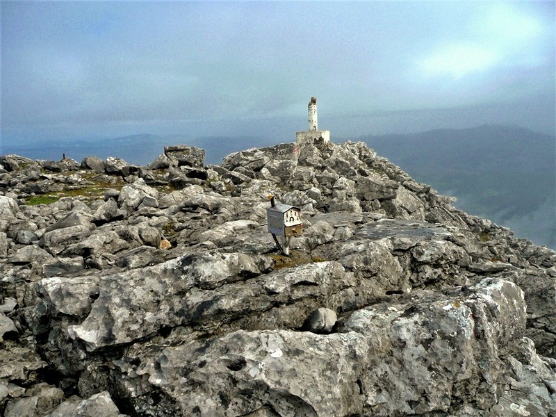 Tontorra