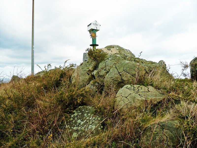 Tontorra