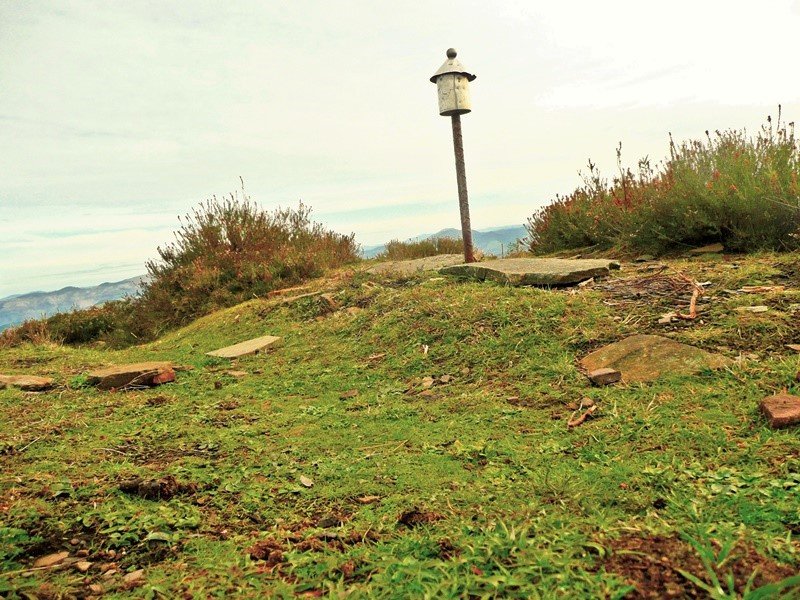 Tontorra