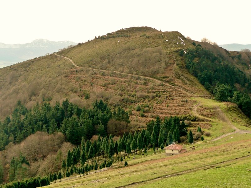 Kolitzatik