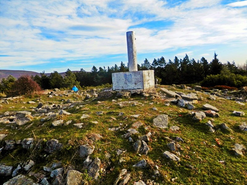 Tontorra