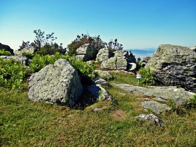 Tontorra