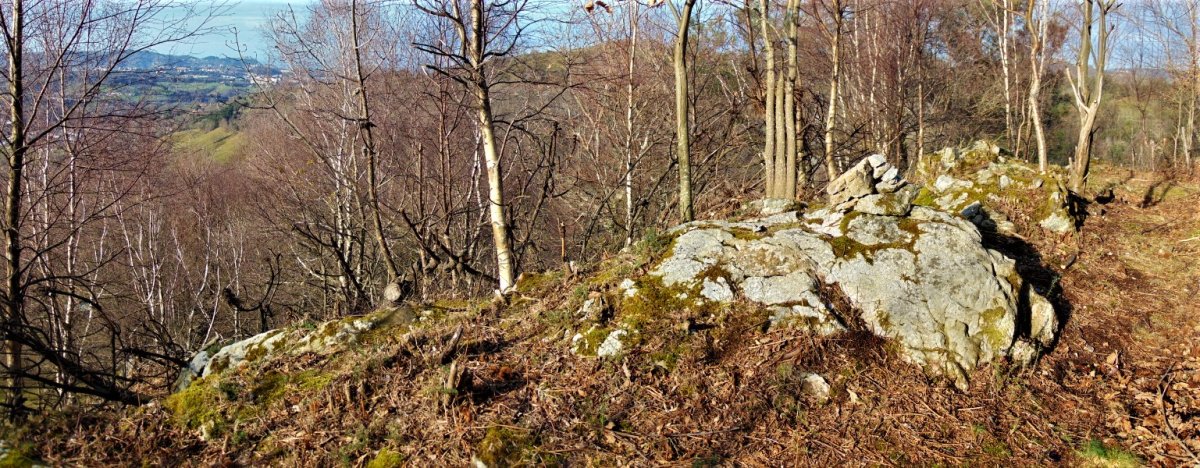Tontorra