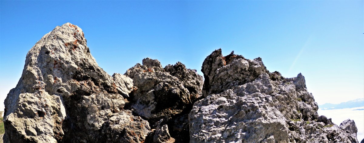 Tontorra