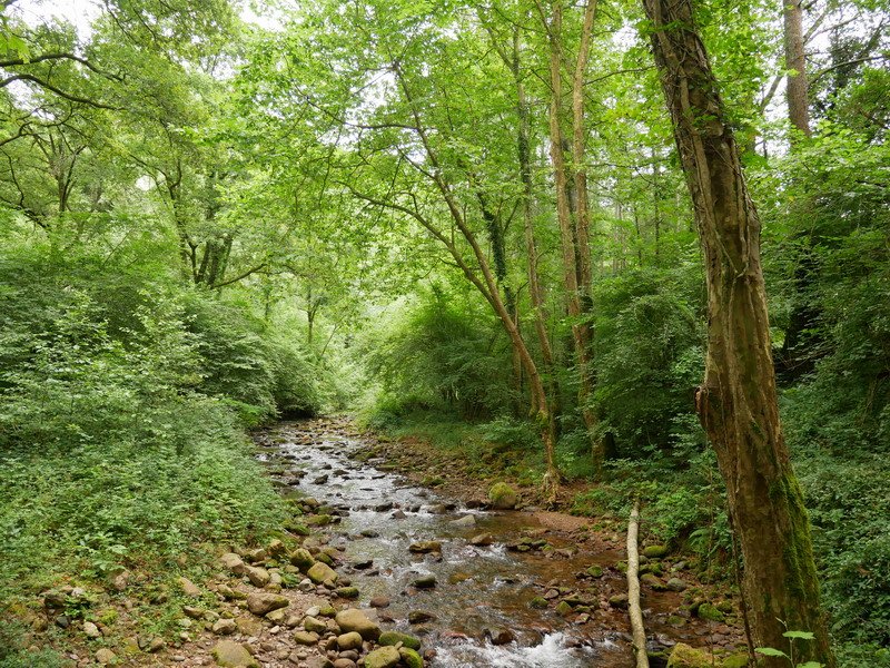 Iñarbegiko erreka