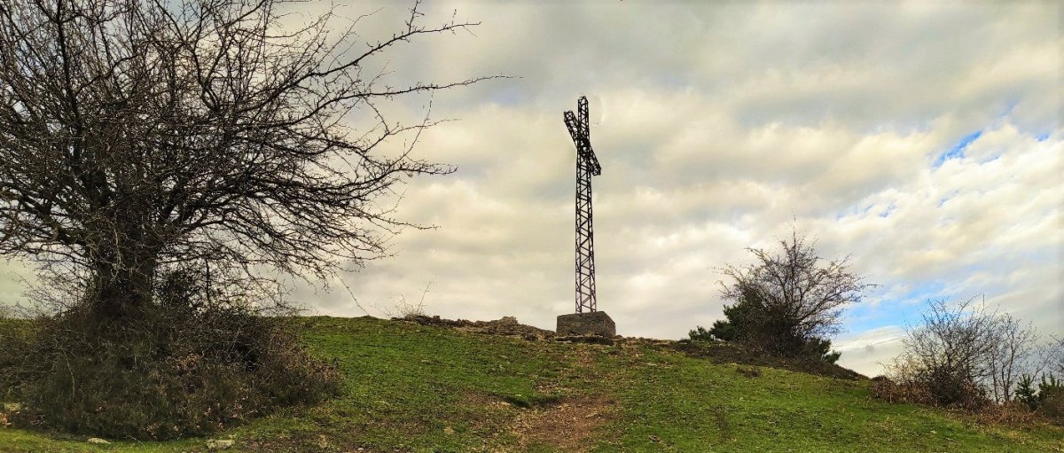 Tontorra
