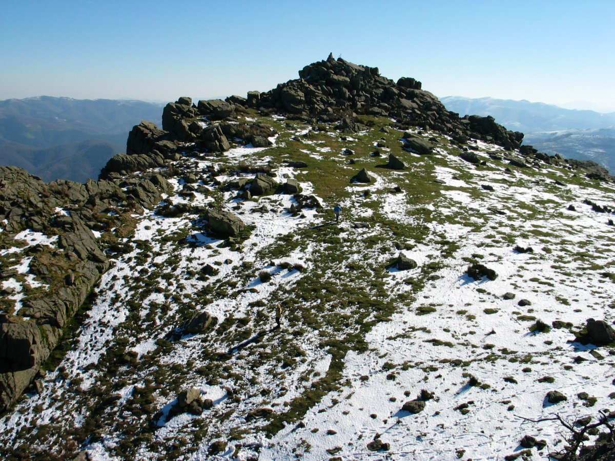 Tontorra