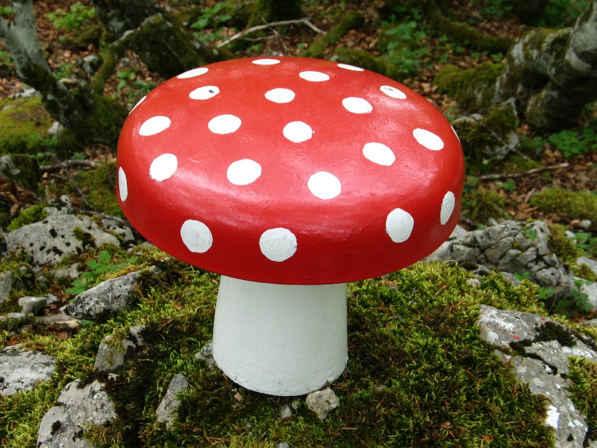 Txartelontzia