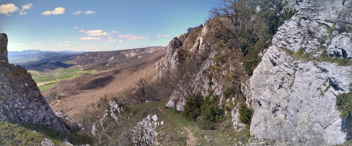 Narkueko harratea