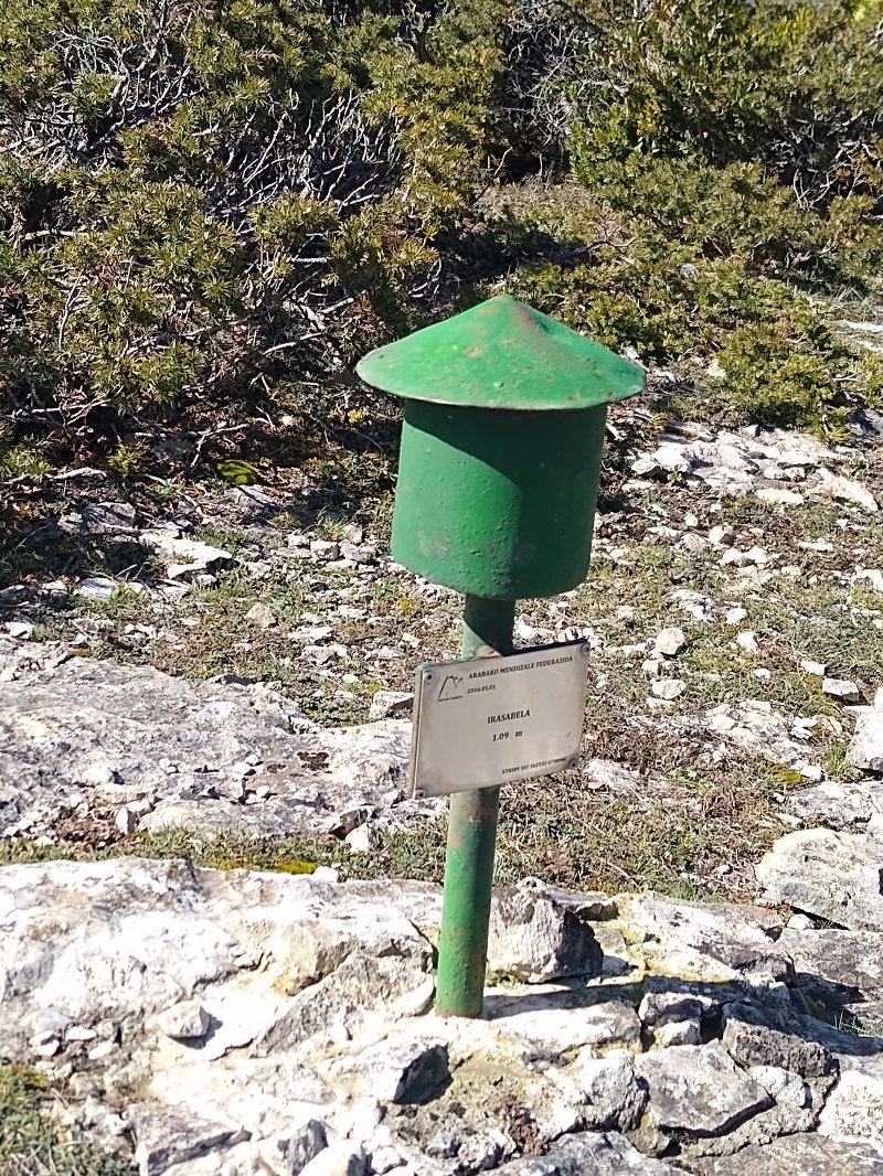 Txartelontzia