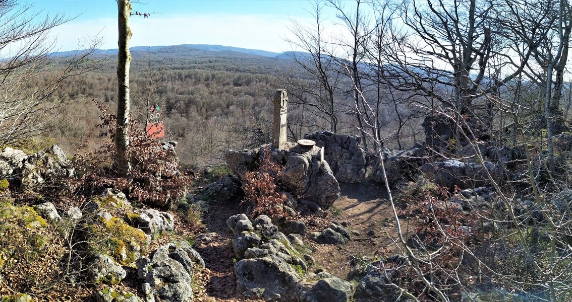 Tontorra