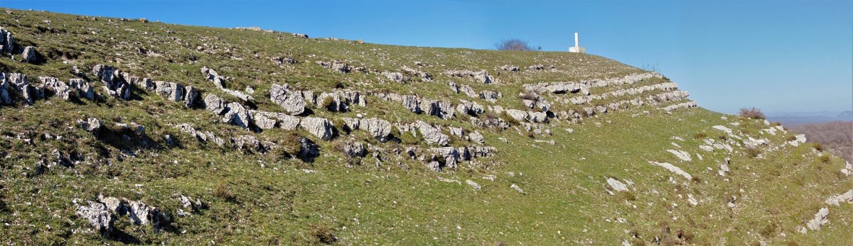Tontorra