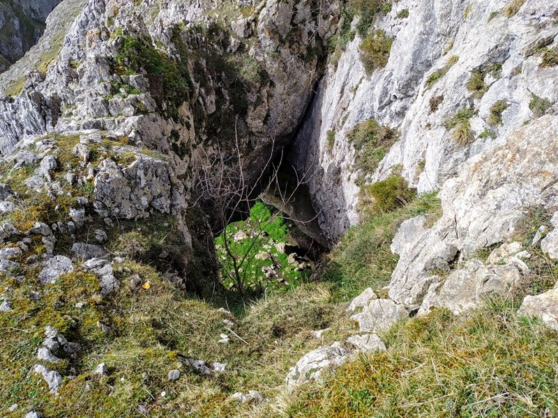 Koba Haundi