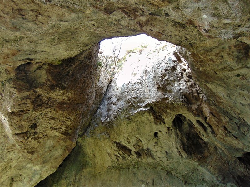Koba Haundi