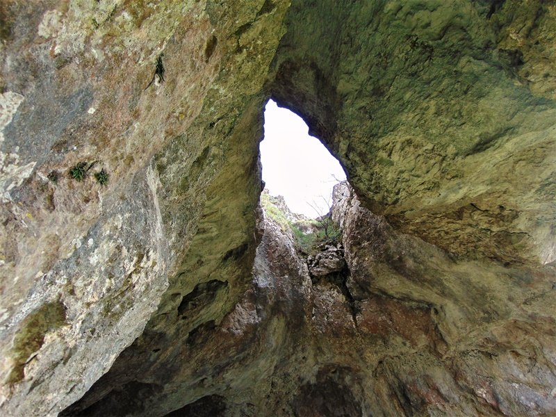 Koba Haundi