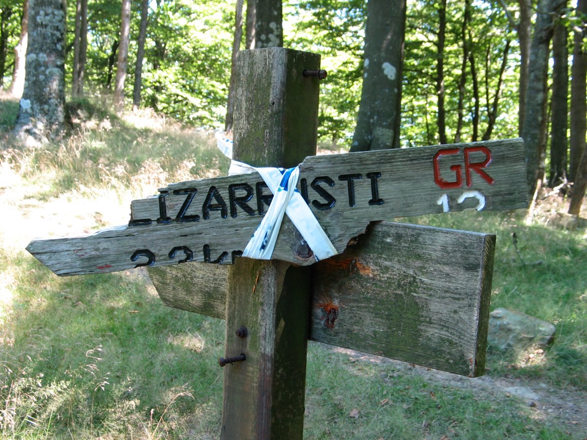 Lizarrustiko bidea
