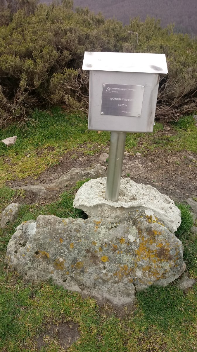 Naparbasoko Punta (1225m) postontzia