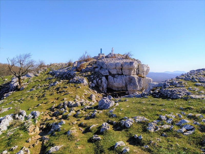 Tontorra