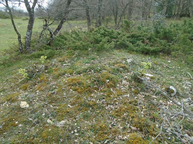 lezaundi norte