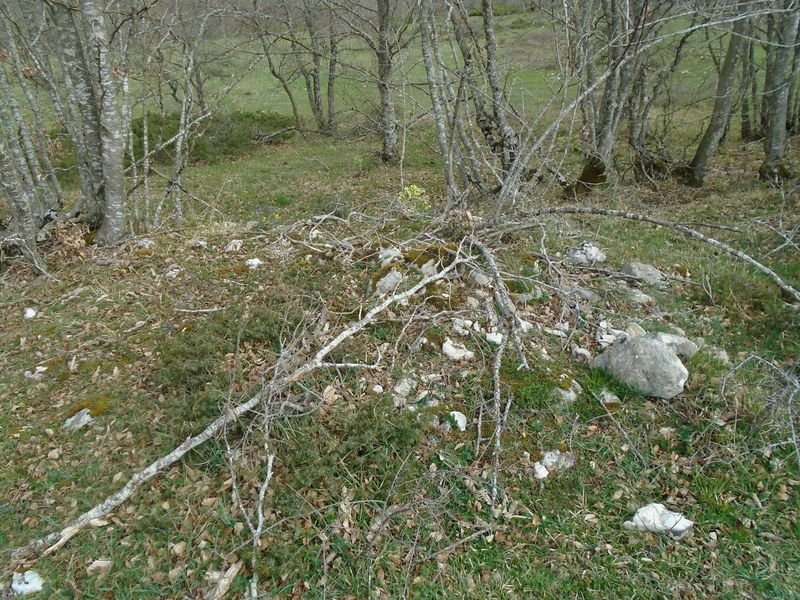 lezaundi norte