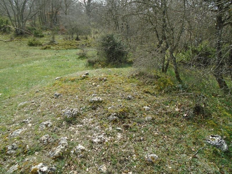 lainabarra