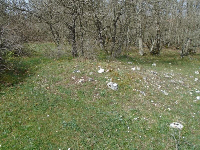 lainabarra