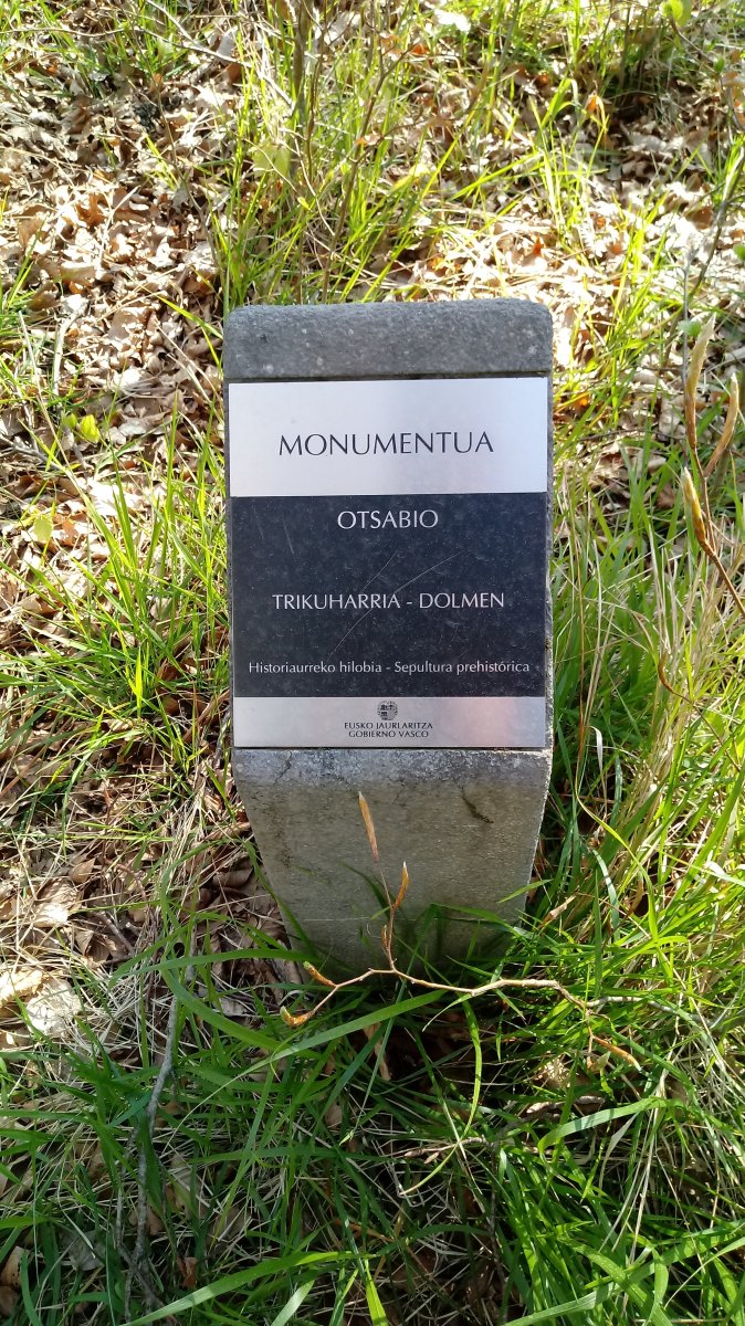 Otsabio trikuharria