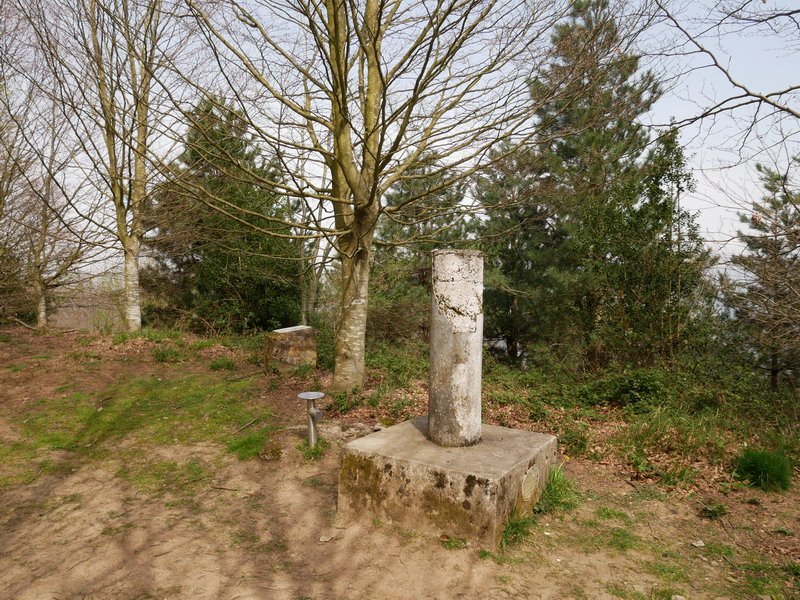 Tontorra