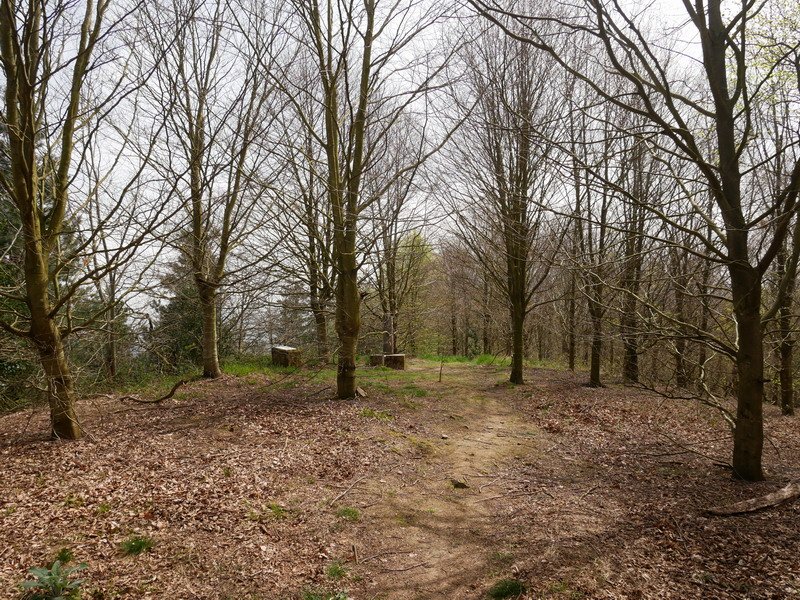 Tontorra