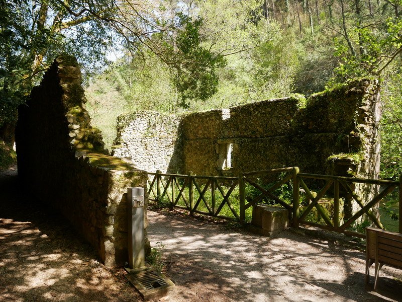 Lariz Aurre errota