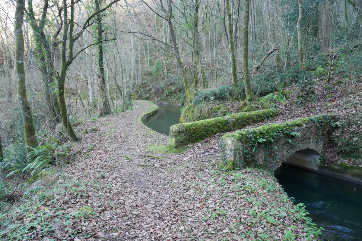 Ameraungo kanala