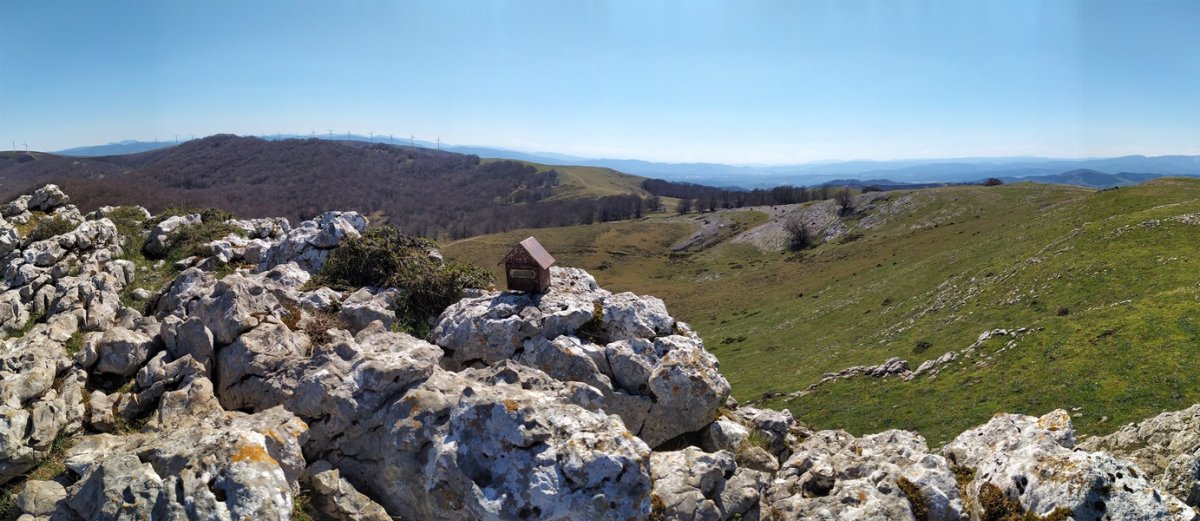 Tontorra