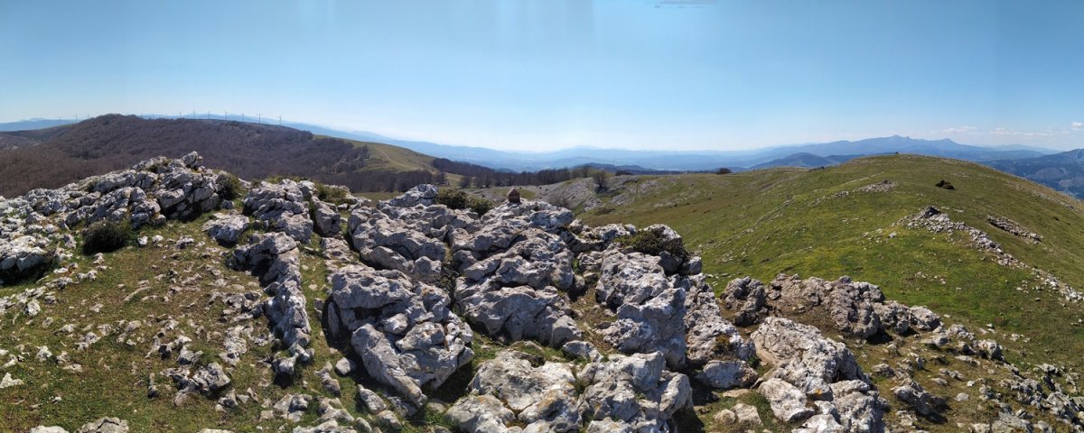 Tontorra