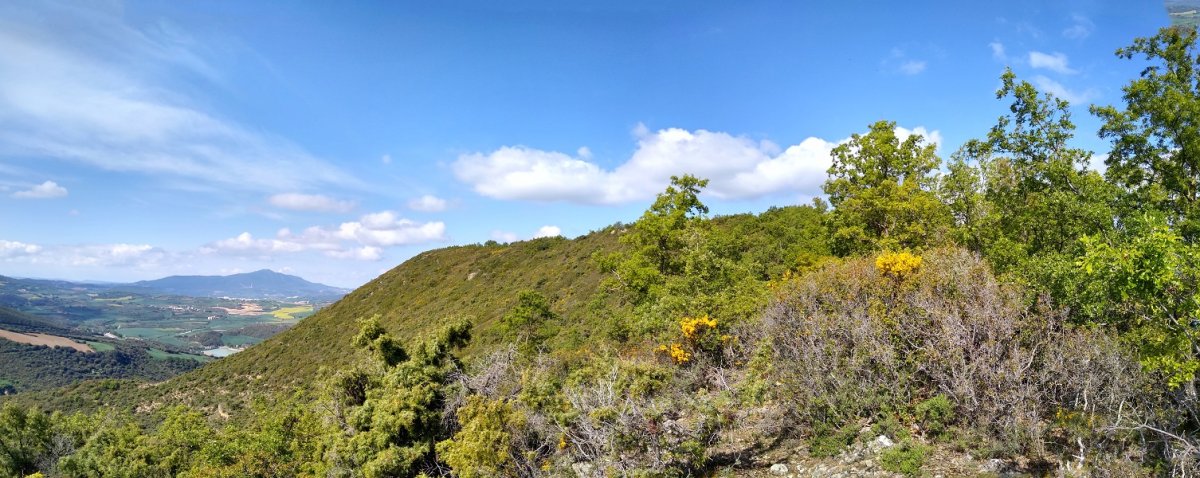 Mendia, lepotik